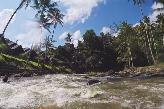 Life serves the risk taker